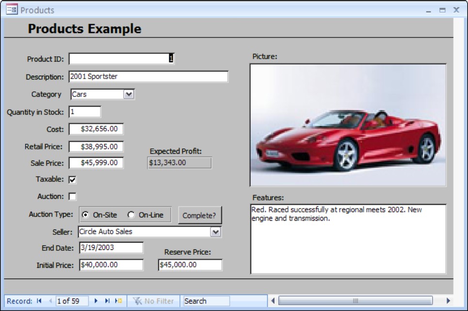 An automobile products application entry screen (an Access 2007 form)